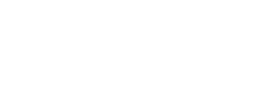Strefa Miejska Chełm